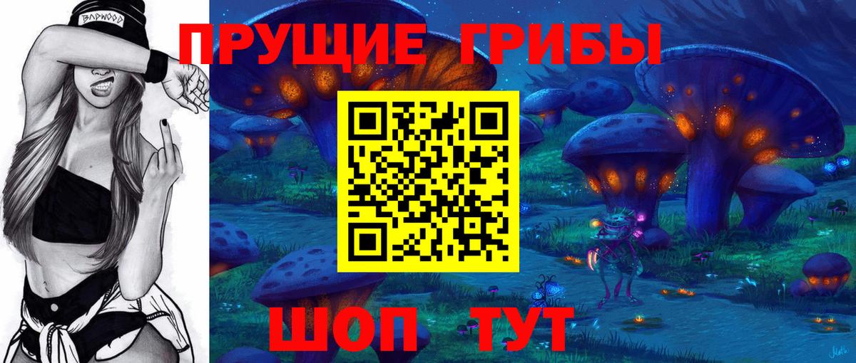Галлюциногенные грибы Psilocybine cubensis Тайшет