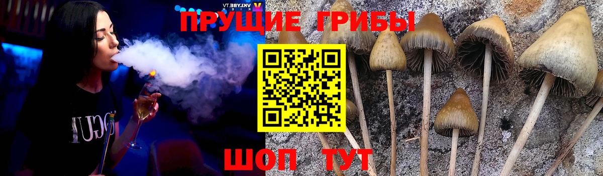 Cocaine  Cocaine  Тайшет  Вход с VPN  Гашиш  Каннабис  Меф МЯУ МЯУ  