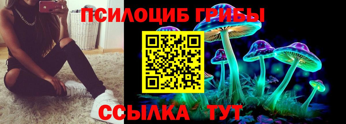 Тайшет  Псилоцибиновые грибы GOLDEN TEACHER  Вход с VPN  Галлюциногенные грибы Magic Shrooms 